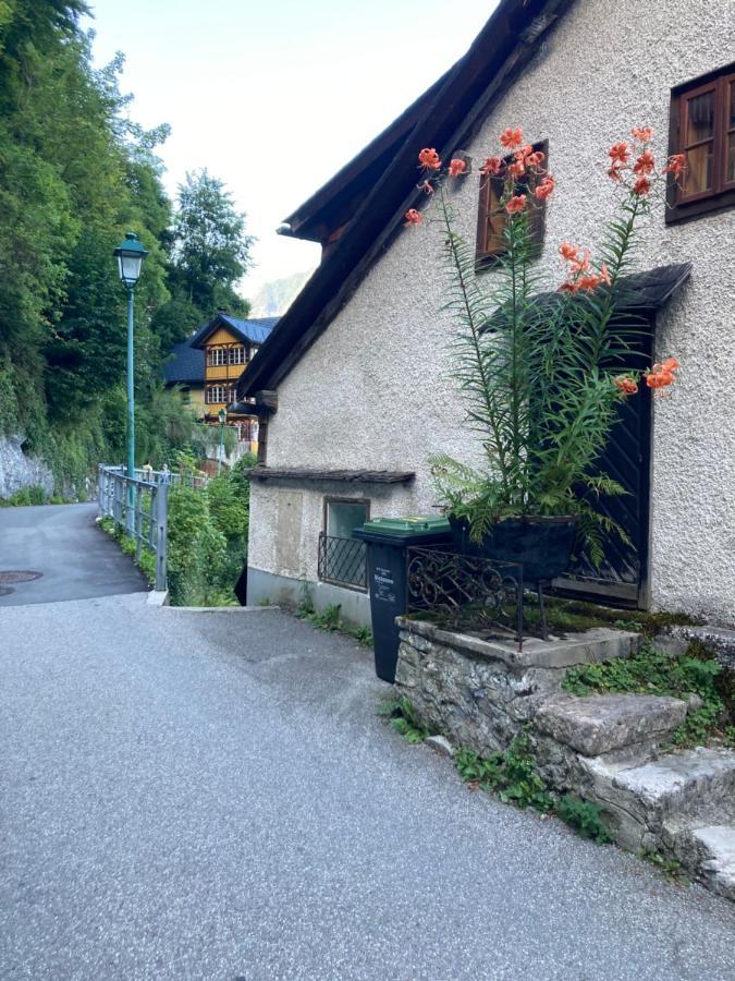 Privatzimmer Am See Hallstatt Buitenkant foto